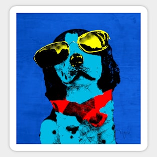 POP ART COOL STAR DOG Sticker